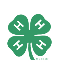 4-H clover